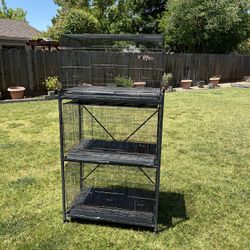 Bird Cages
