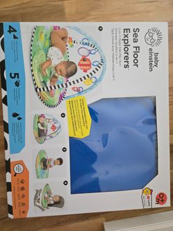 Baby Einstein activity play gym