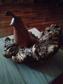 Teakwood quail
