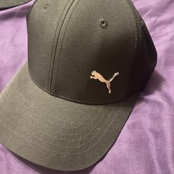 Puma Hat