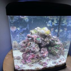 Biocube 14 Aquarium 