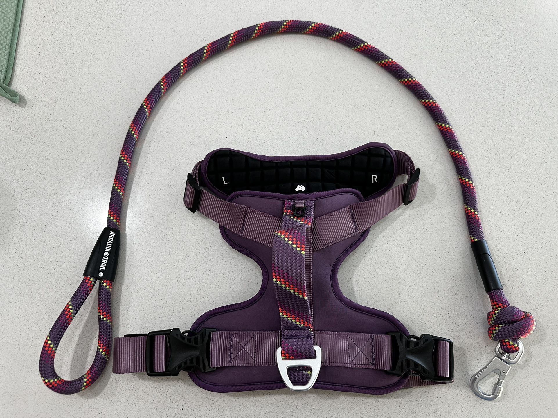 Arcadia Trail Neoprene Dog Harness And Leash Set For Large Dogs.