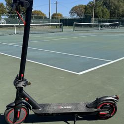Electric Scooter 500W/ 350W 