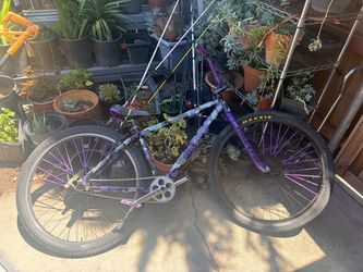 29 inch big flyer 2021 purple camo