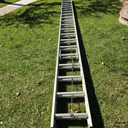 40ft Extension Ladder 