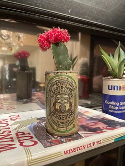Vintage german lager beer vereinsbrauerei Can With Cactus