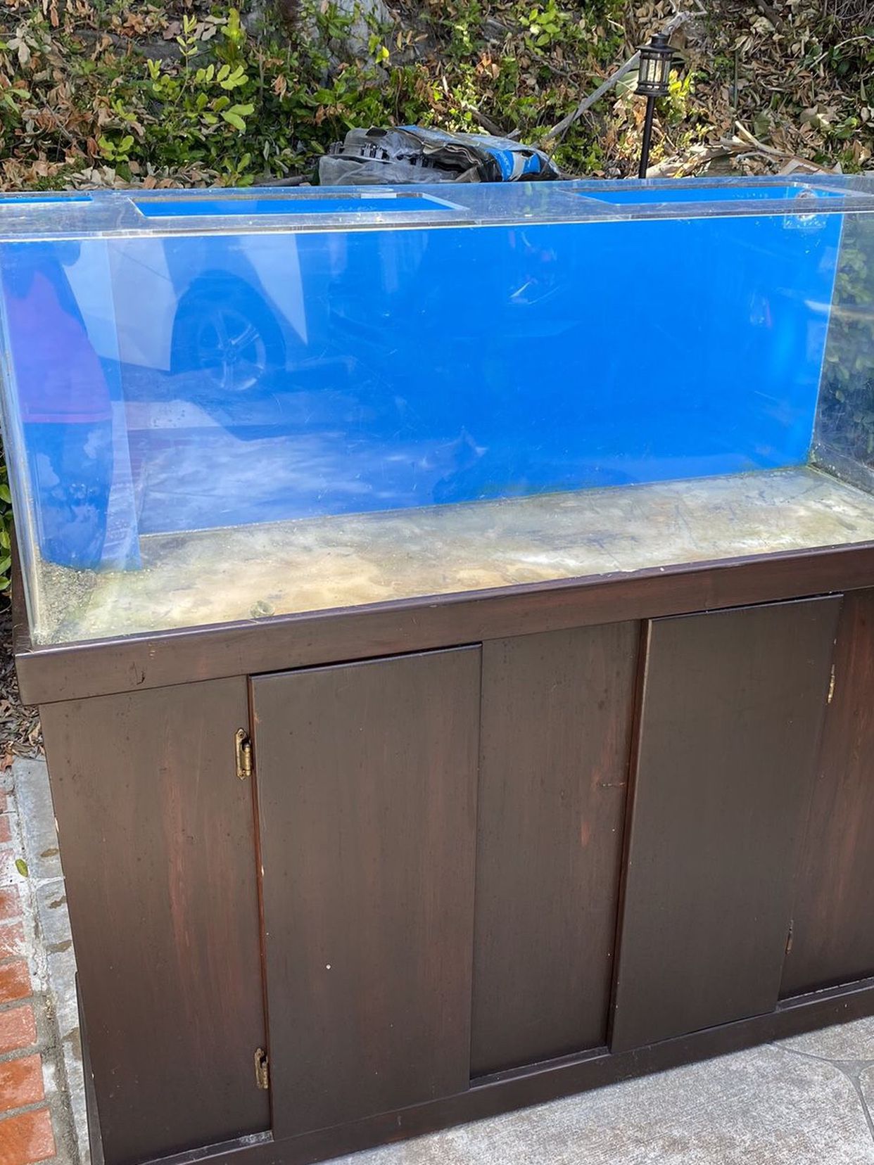 60 Gallon Acrylic Fish Tank