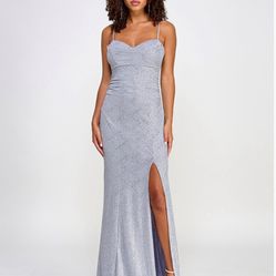 Silver Dress