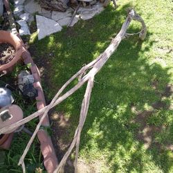 Genuine Driftwood For Aquariums Terrariums Decor 