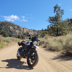 2019 Ducati Scrambler 803cc