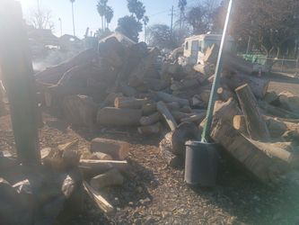Firewood- Small And Large Bundles
