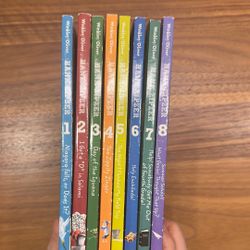 Hank Zipzer book set (1-8)