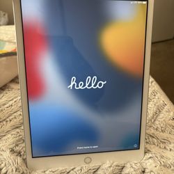 iPad 