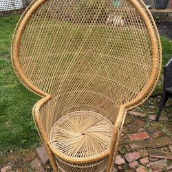 Wicker Fan Chair (Peacock)