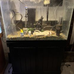 45 Gallon Aquarium And Accessories