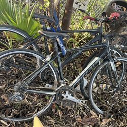 Road and Mountain bike