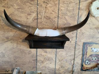 Bull Horns
