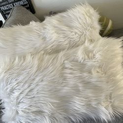 Pillows Pick Up Today 