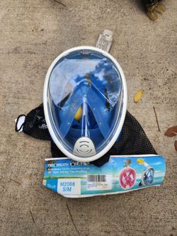 Snorkel mask