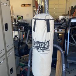 Everlast Heavy Bag Stand & Punching Bag