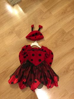 Ladybug Halloween Costume