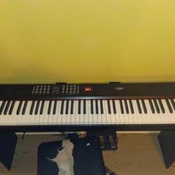 pianoSTRICH 88 Keys Weighted Keyboard with Sustain Pedal, Hammer-Action Digit
