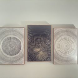 IKEA Tree Ring Wall Art Set – 3 Framed Prints