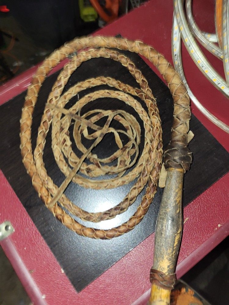 Bull Whip