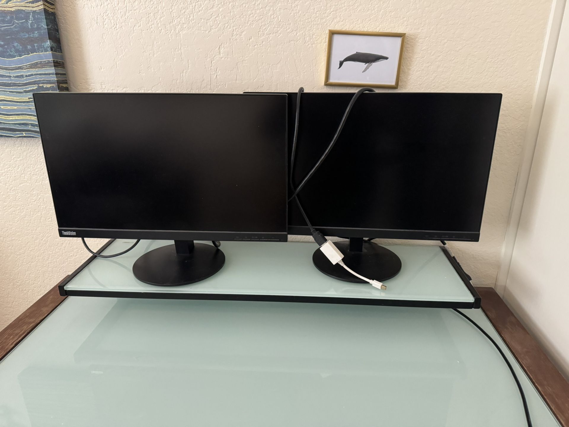 Two Computer Monitors, 22”
