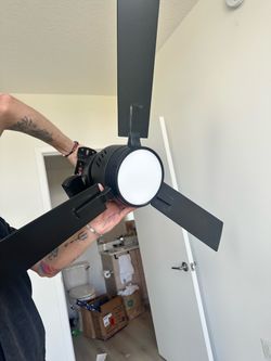 Ceiling fan