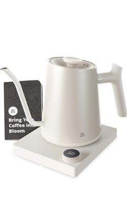 Electric Kettle 