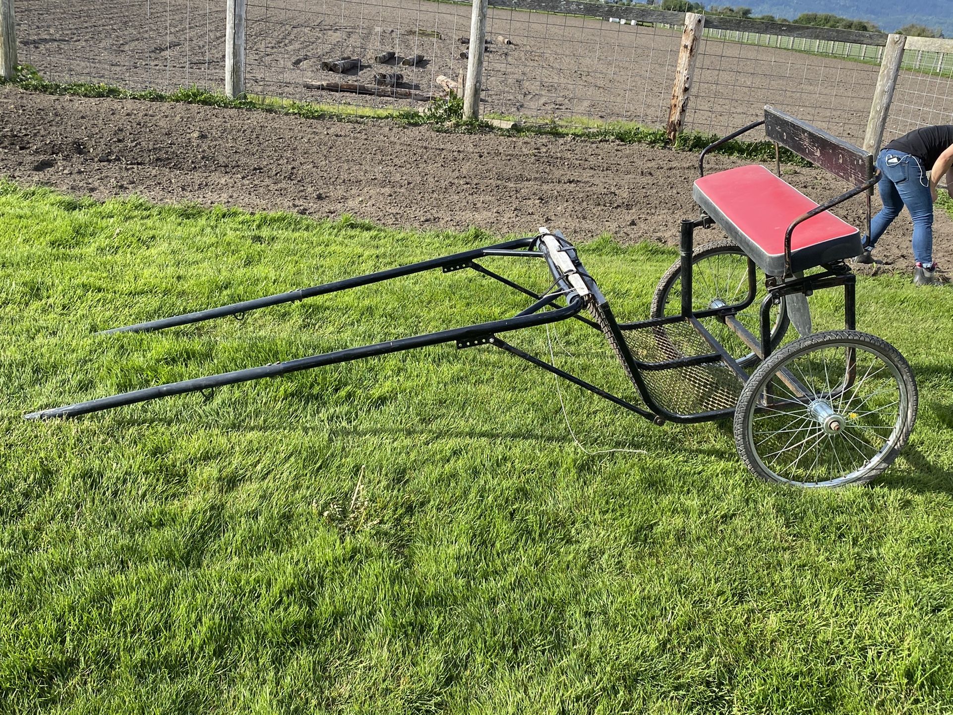 Large Pony Cart