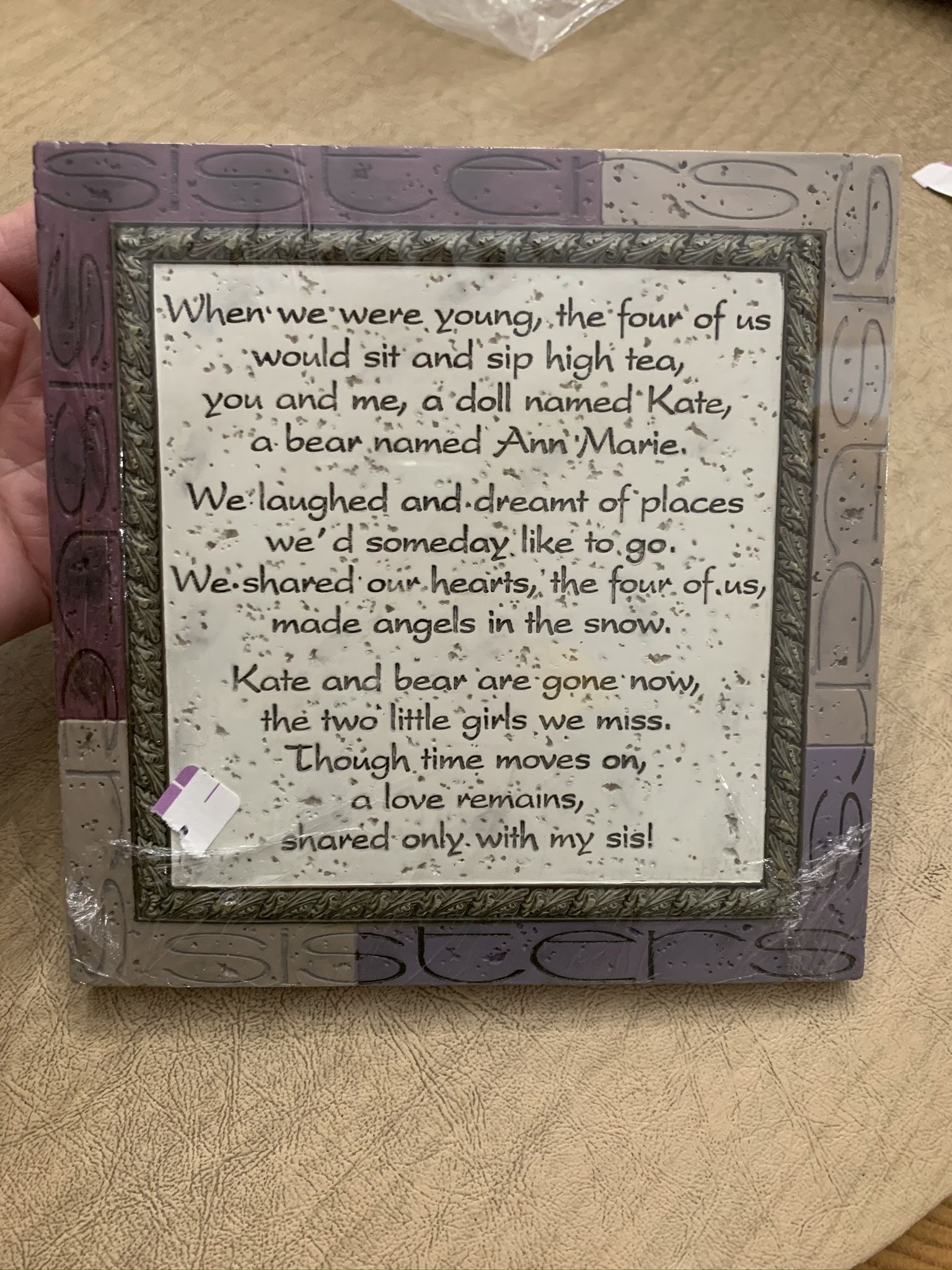 Sister Plaque - Heavy Resin Frame - Beautiful Saying