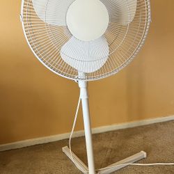 Standing Fan