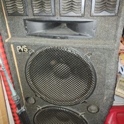 Pvs 15 Inch Speaker 