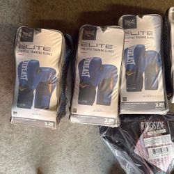 Everlast boxing gloves