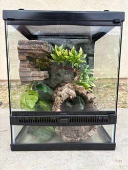 Reptile Tank Setup – (12x12x15") – Great Condition!