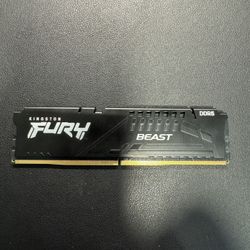Kingston Furry Beast 16GB DDR 5200MHz RAM 1 Stick Only
