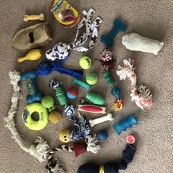 Dog Toys 