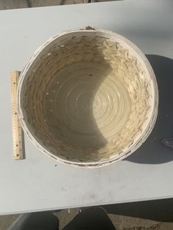 Plant/flower holder