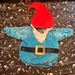 Baby Gnome Costume