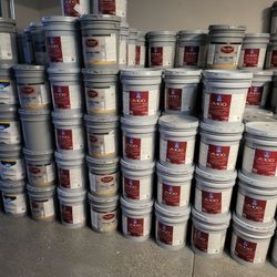 Paint For Sale 