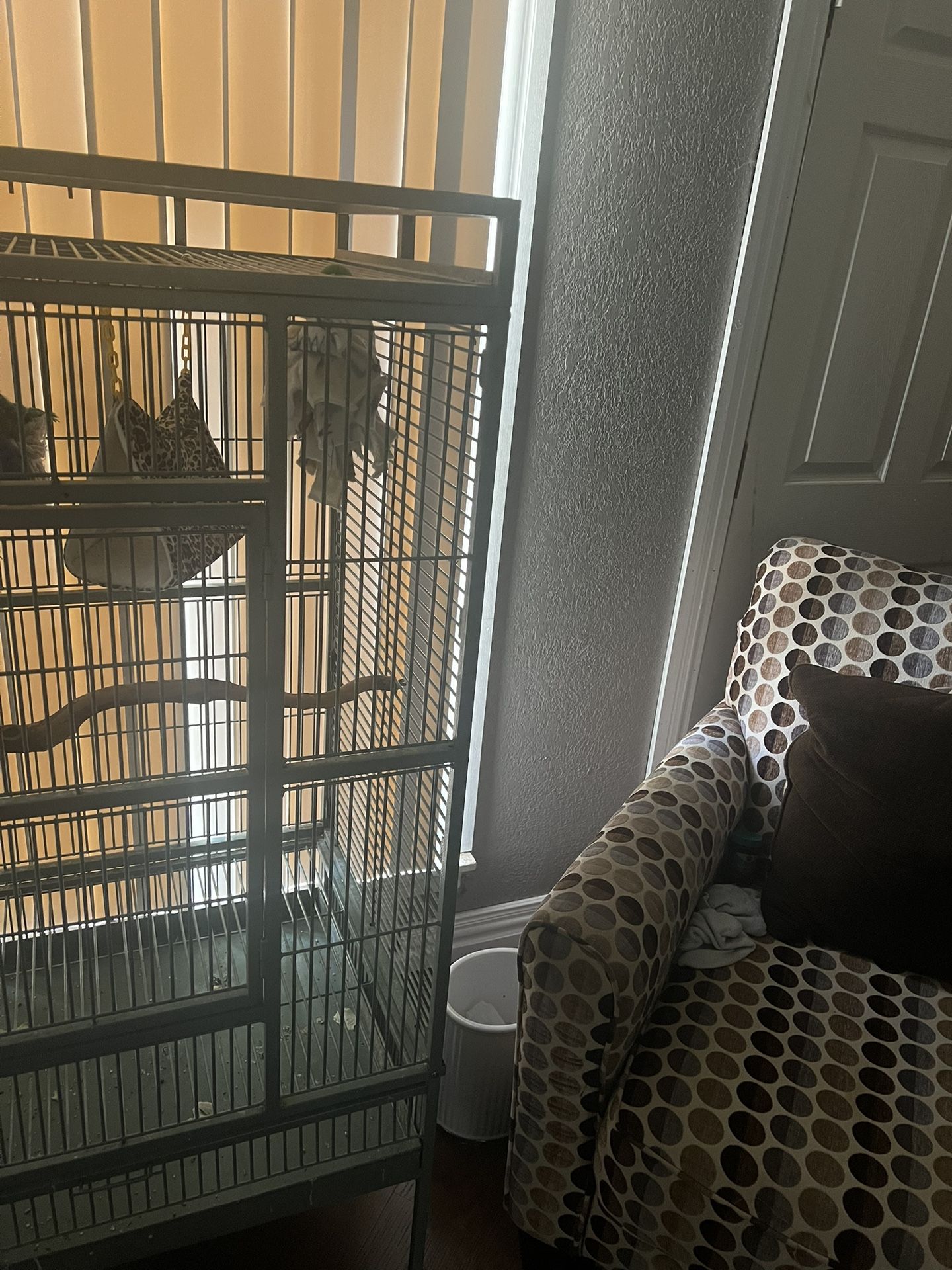 Bird Cage With Green Cheek Conure Everything $$450