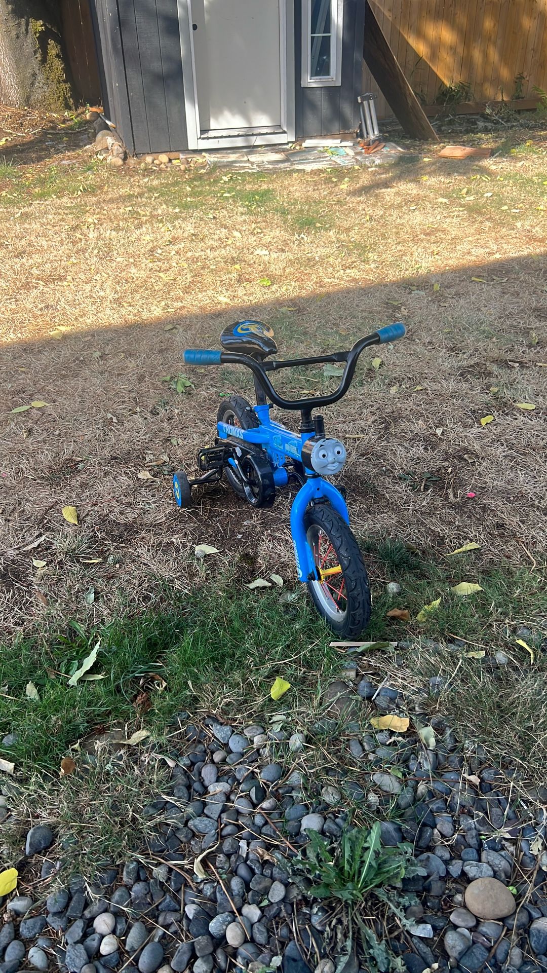 Thomas The Train Training  Bike 