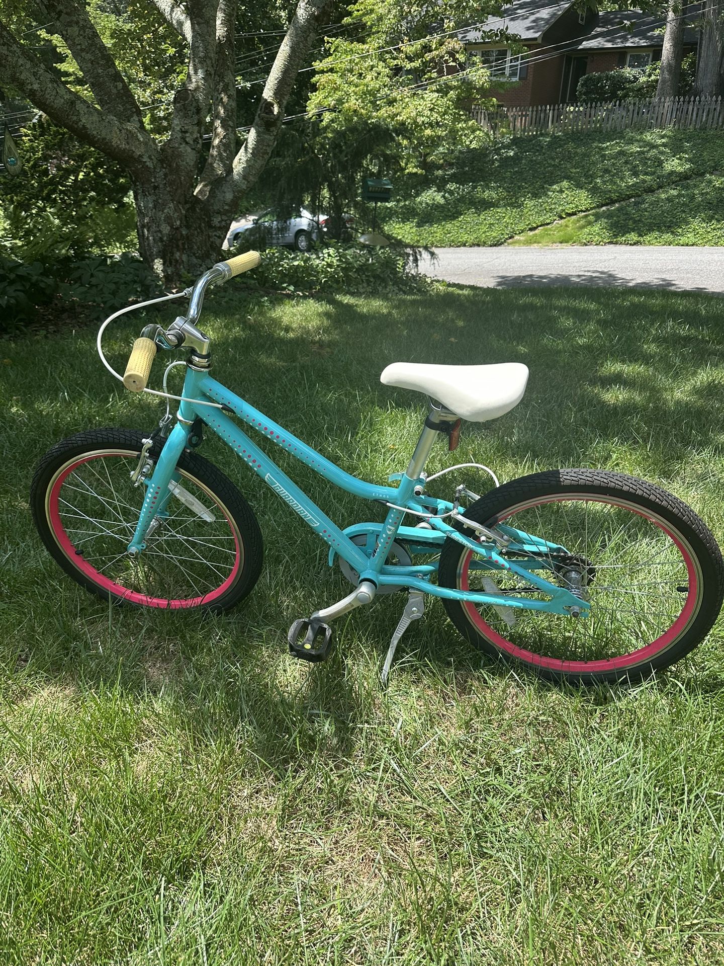 Girls 20” Inch Guardian Bike - $60