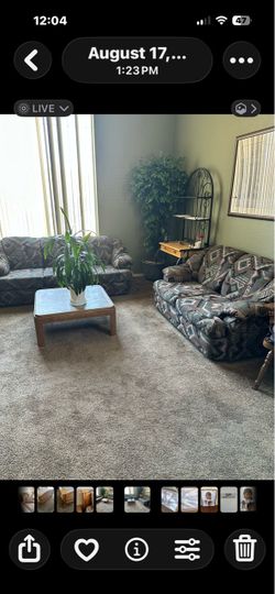 Matching Sofa and Loveseat Set