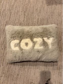 Fuzzy pillow