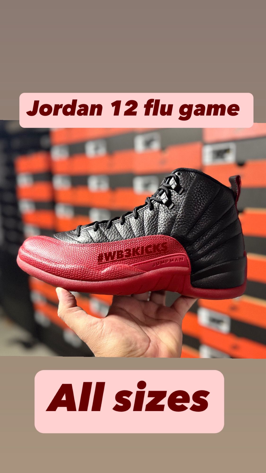 Jordan 12 Flu Game
