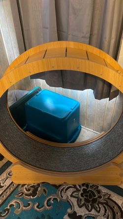 Naviconvex  XL Cat wheel