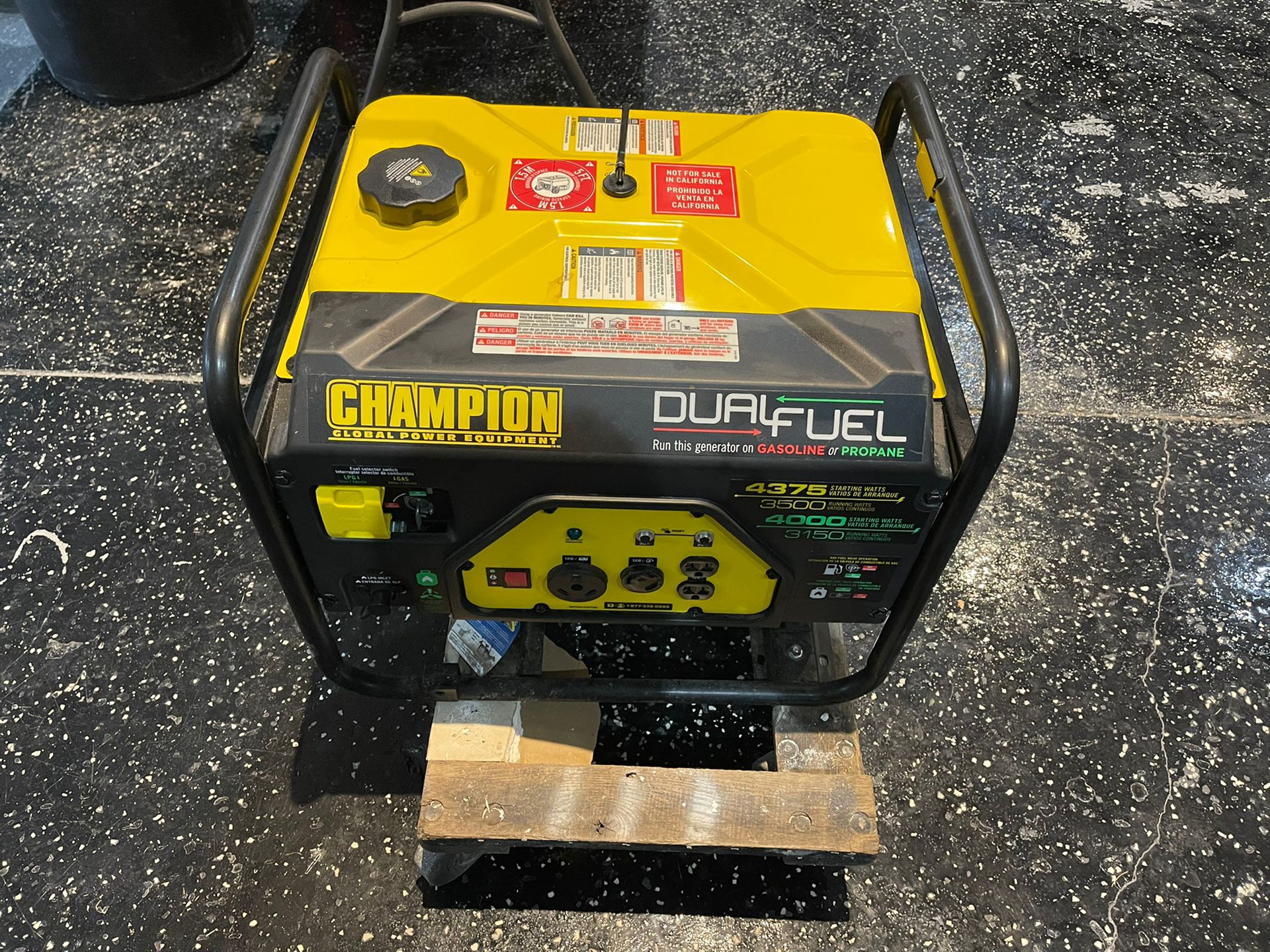 Champion Duel Fuel Generator 